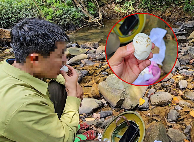 Loi bo giua rung gia, thuc an dem theo chi co trung luoc va com nam. Anh: Nhom phong vien