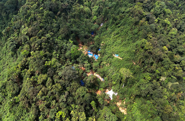 The bandit's hut in the middle of the protective forest. Photo: PV Group