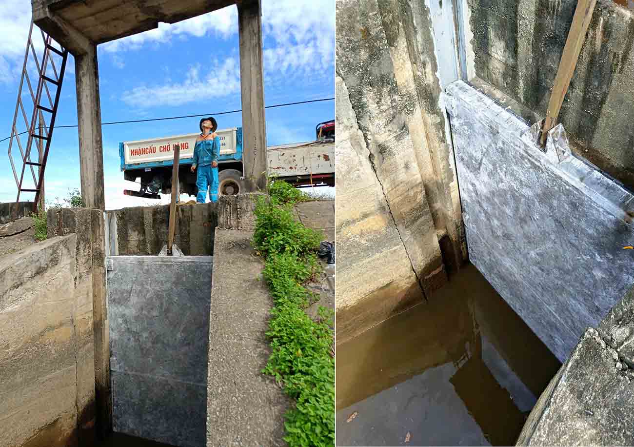 Old Sluice Gate rota, muchas hectareas de tierra de arroz salina han sido reemplazadas por nuevas puertas de alcantarillado. Foto: Dung Tuan