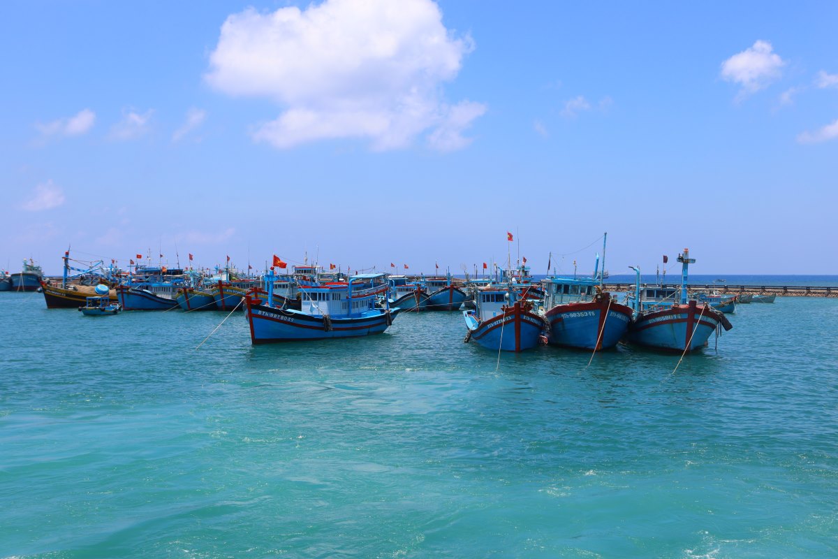 Tau ca neo dau tai khu vuc cang Phu Quy, Binh Thuan. Anh: Duy Tuan