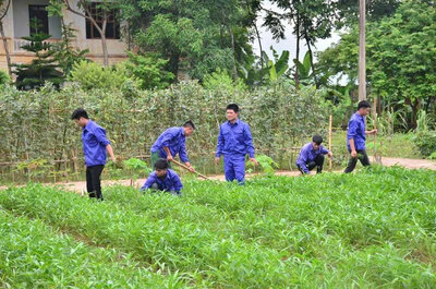 Co so cai nghien ma tuy so II (Lac Son) quan tam day nghe trong trot, chan nuoi... giup hoc vien ren luyen ky nang va co dinh huong viec lam truoc khi tai hoa nhap cong dong. Anh: Don vi cung cap