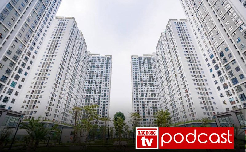 Morning news 20.6: Hanoi has another social housing project open for sale, priced from 16.3 million VND/m2