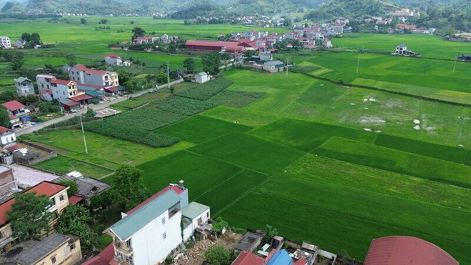 8 đơn vị trúng thầu xây dựng khu tái định cư cao tốc Đồng Đăng - Trà Lĩnh