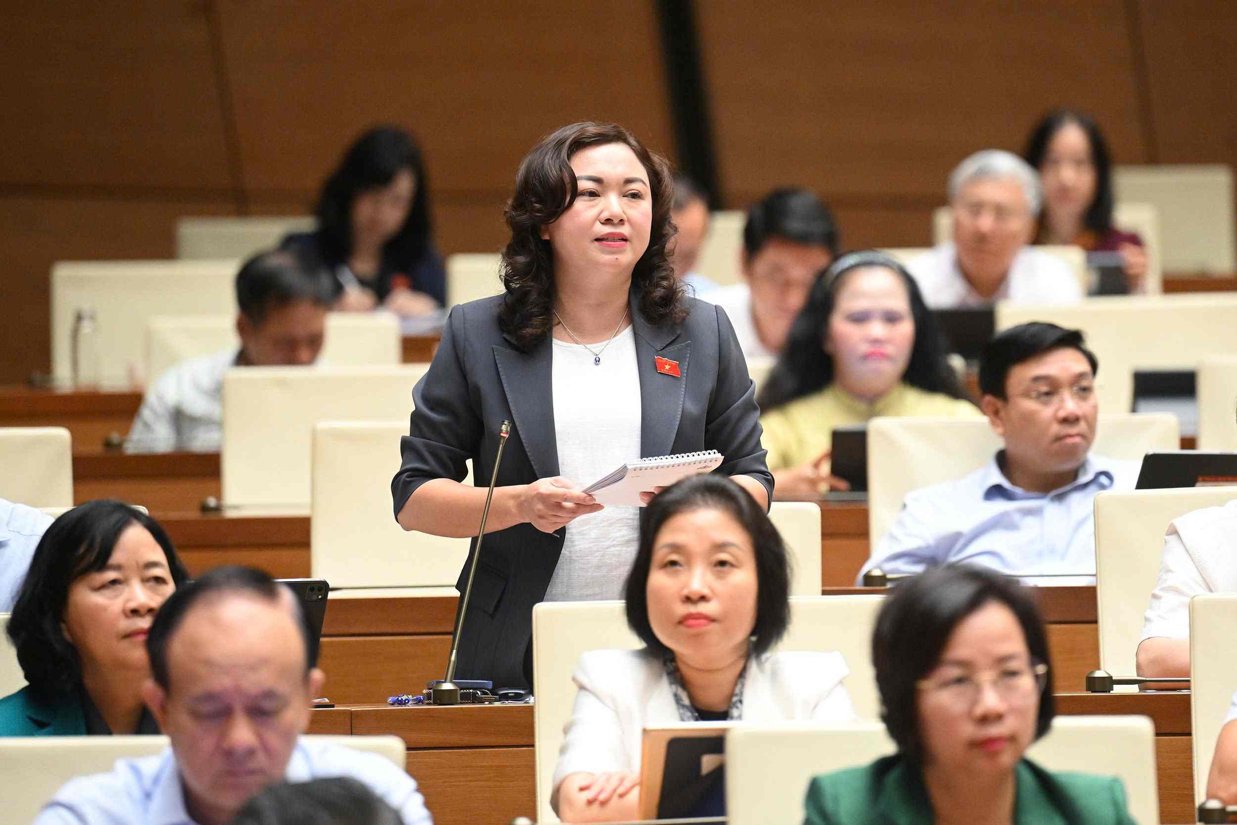 Dai bieu Dang Bich Ngoc - Doan DBQH tinh Hoa Binh. Anh: Quochoi