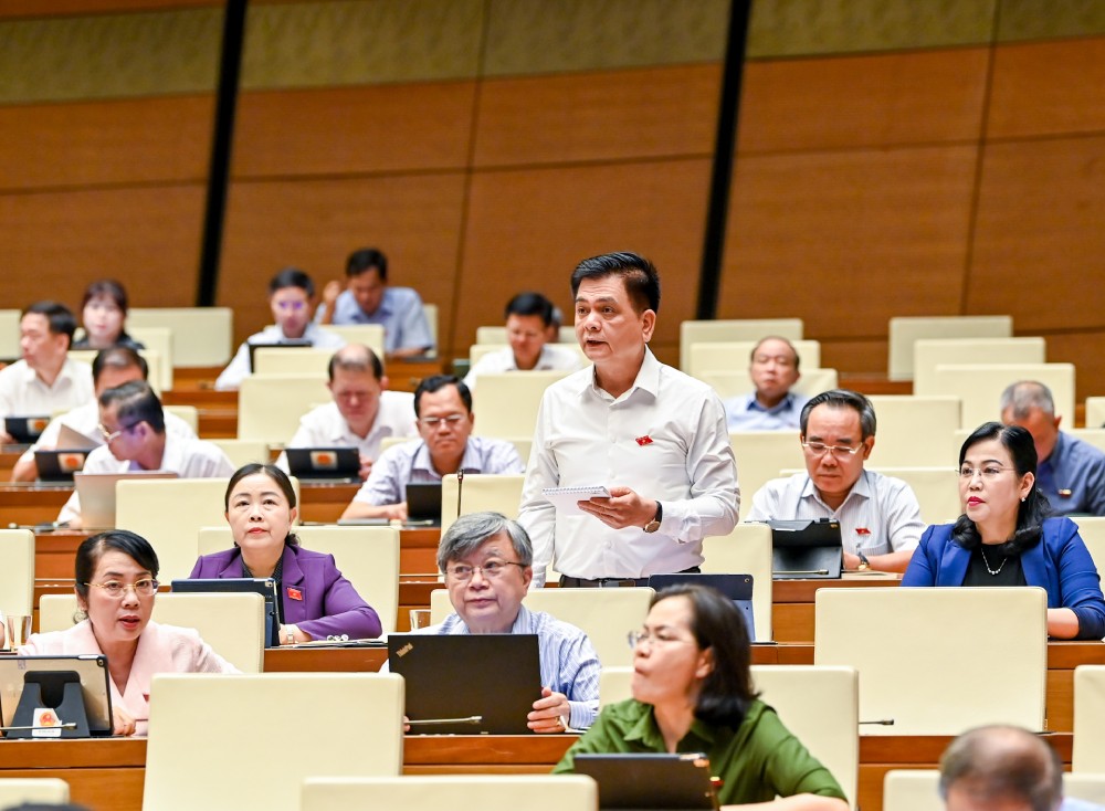 Dai bieu Nguyen Lam Thanh (Doan Thai Nguyen) chat van.