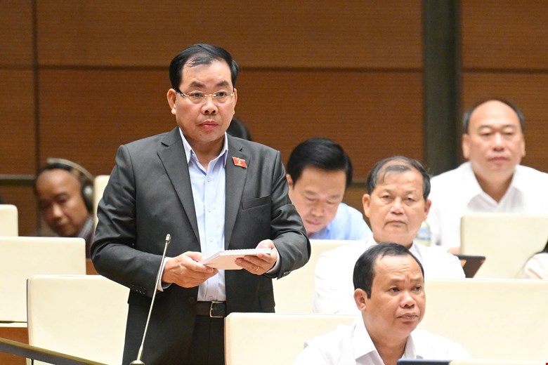 Dai bieu Nguyen Quang Huan (Doan Binh Duong) phat bieu tranh luan.