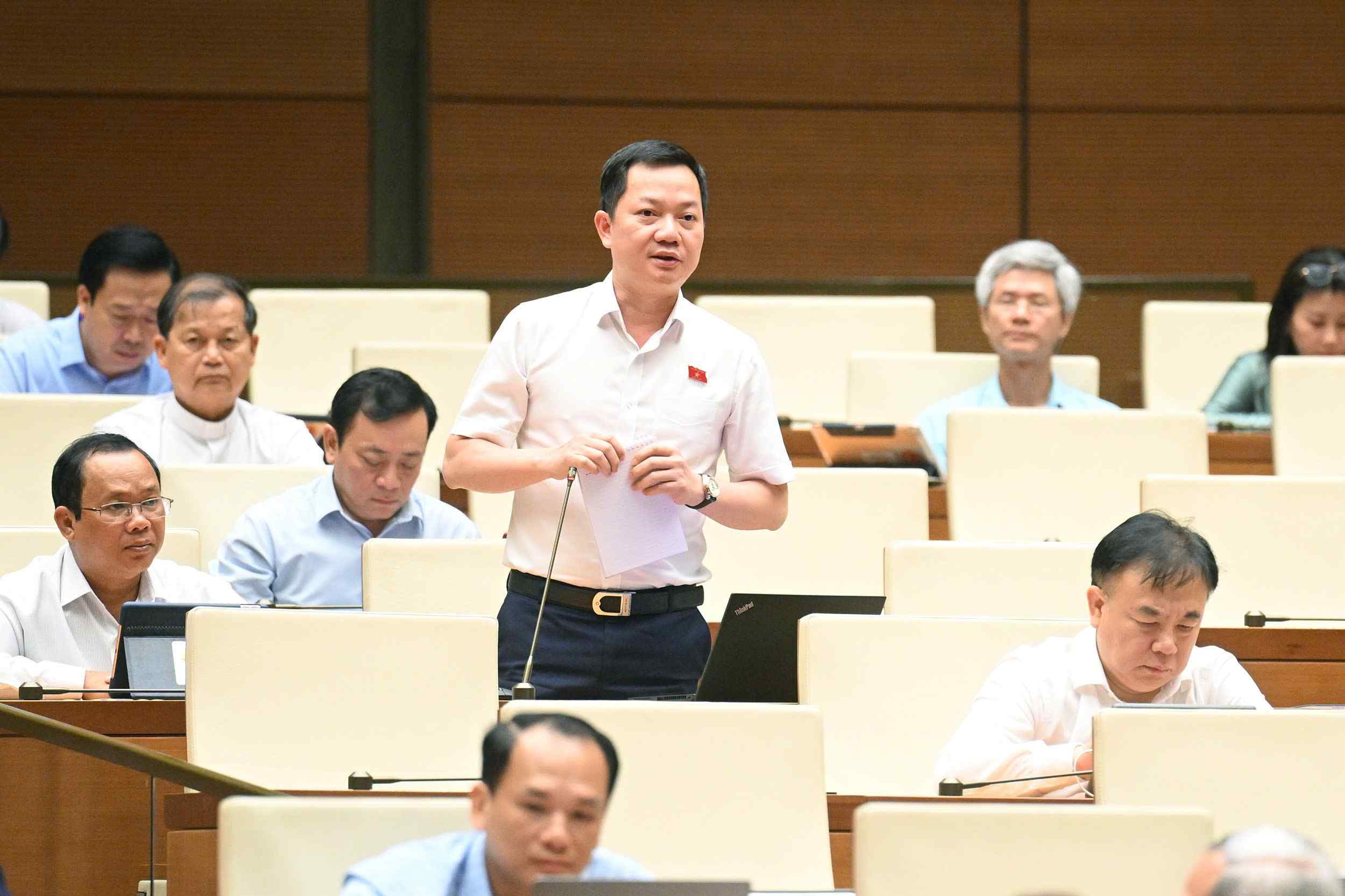 Dai bieu Trinh Xuan An - Doan DBQH tinh Dong Nai. Anh: Quochoi