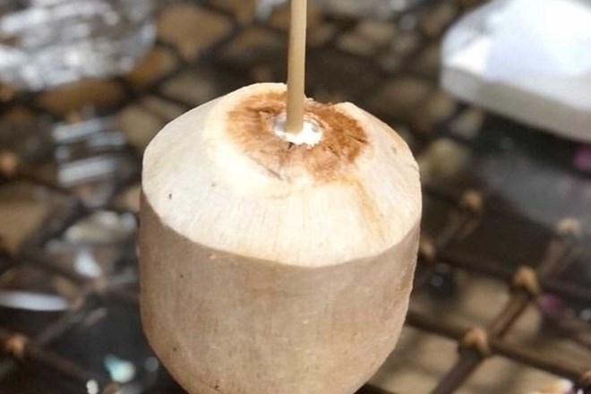 Drinking coconut water properly is good for your health. Photo: Thanh Thanh