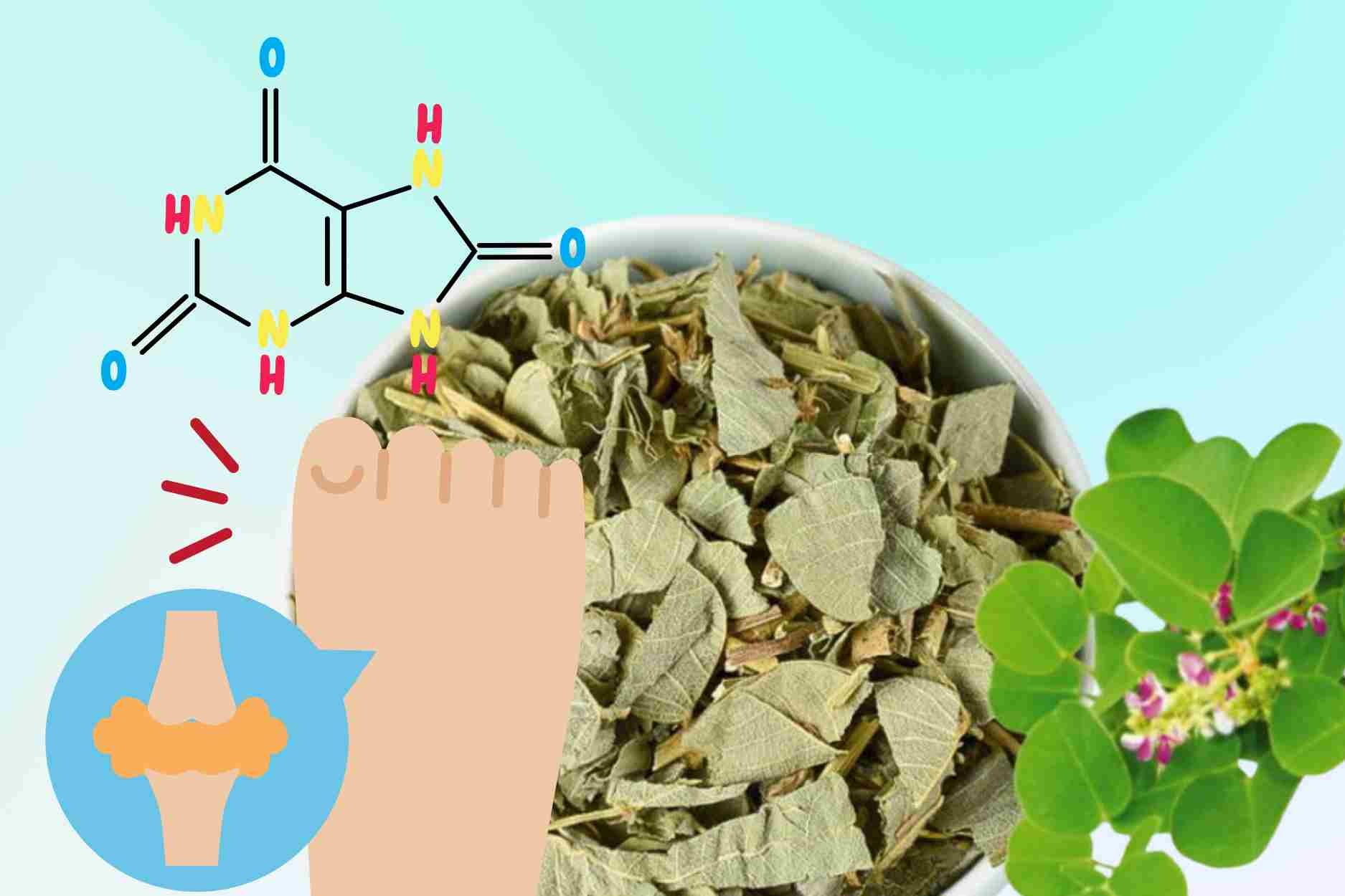 Revealing the taste of precious medicine that effectively eliminates uric acid. Graphics: Dinh Dinh