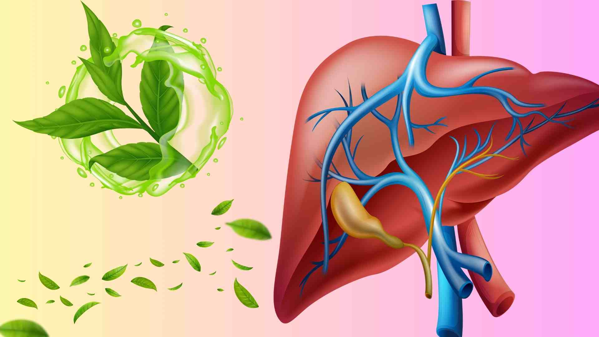 Tips for the golden time to drink green tea to effectively support liver detoxification. Graphics: Huyen Trang