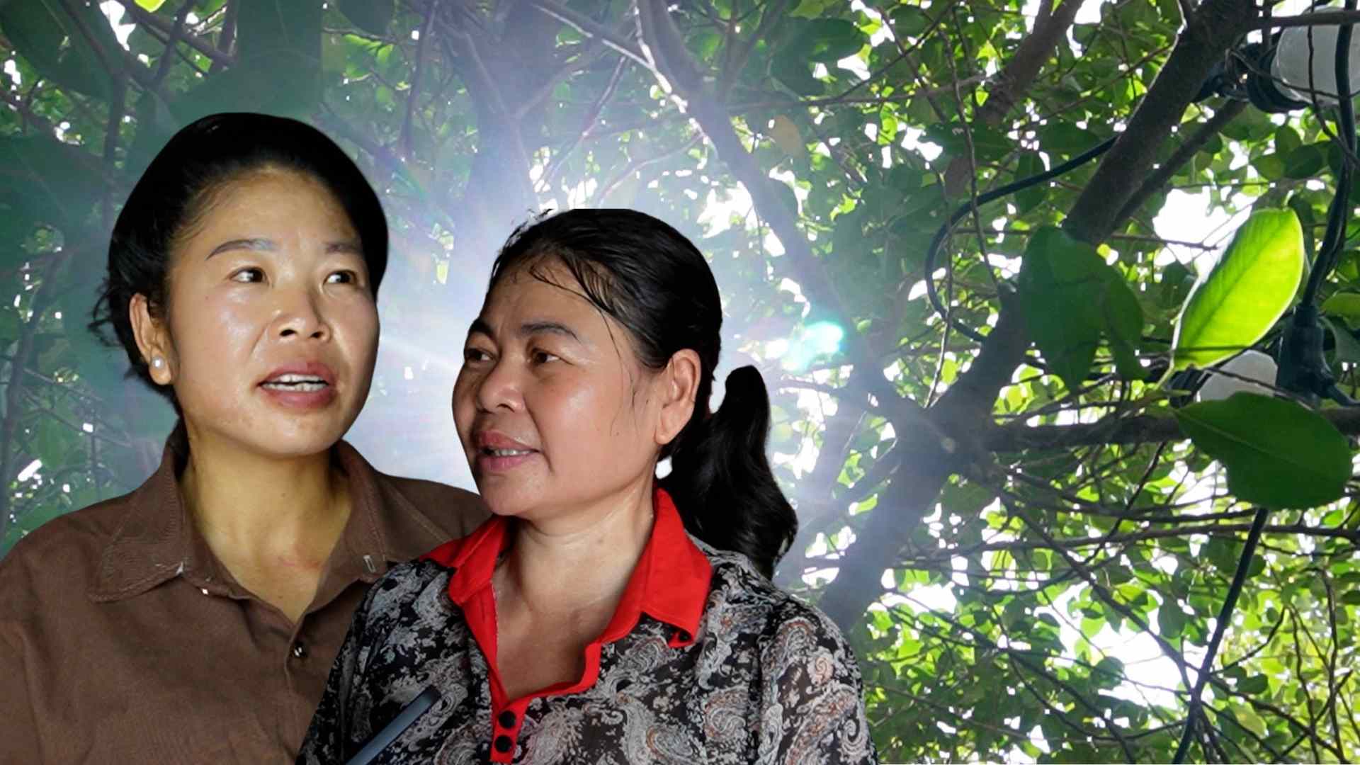 Hanoi es extremadamente caliente y caliente, los trabajadores luchan contra el choque termico al mediodia