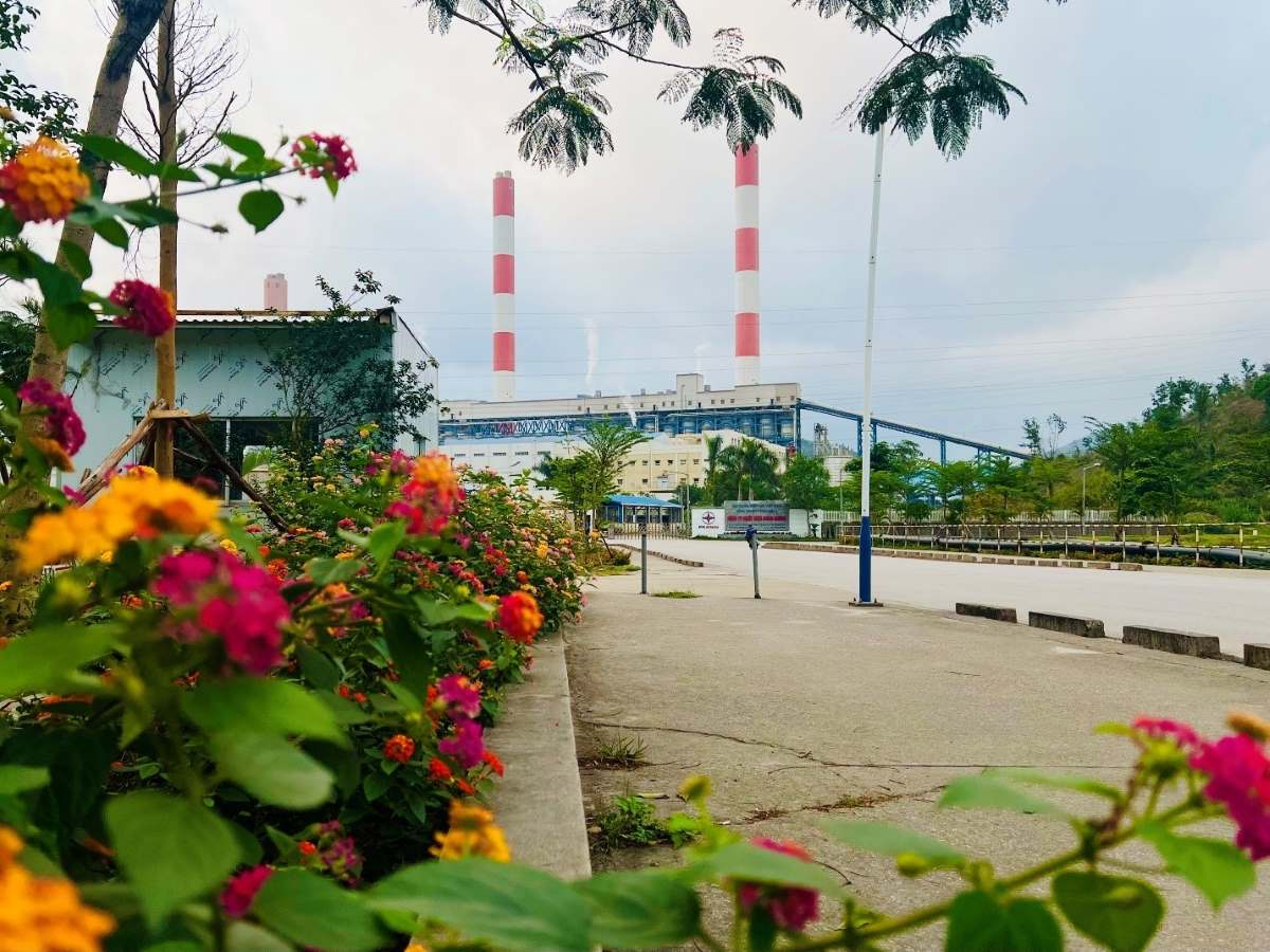 Khong gian xanh, ruc ro sac mau quanh Nha may Nhiet dien Mong Duong 1. Anh: Lan Anh