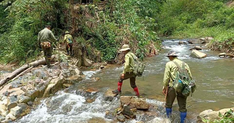 Chủ Rừng Đắk Nông Mong Chờ Giải Pháp Tài Chính: Quỹ Nông Nghiệp Đề Xuất Nhiều Phương Án Tạm Ứng Tiền