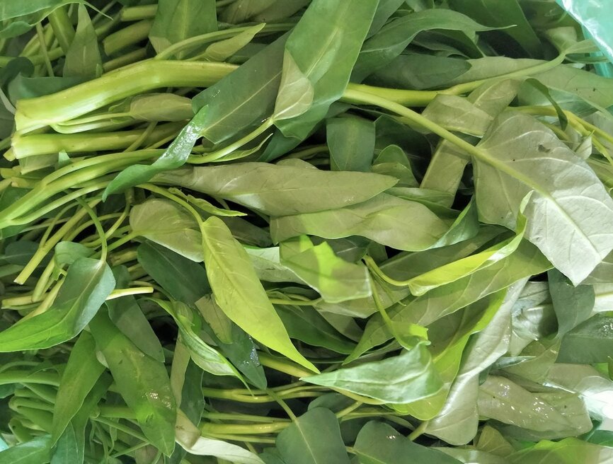 Water spinach is a green vegetable that can help reduce visceral fat but should not be eaten raw. Photo: Kieu Vu