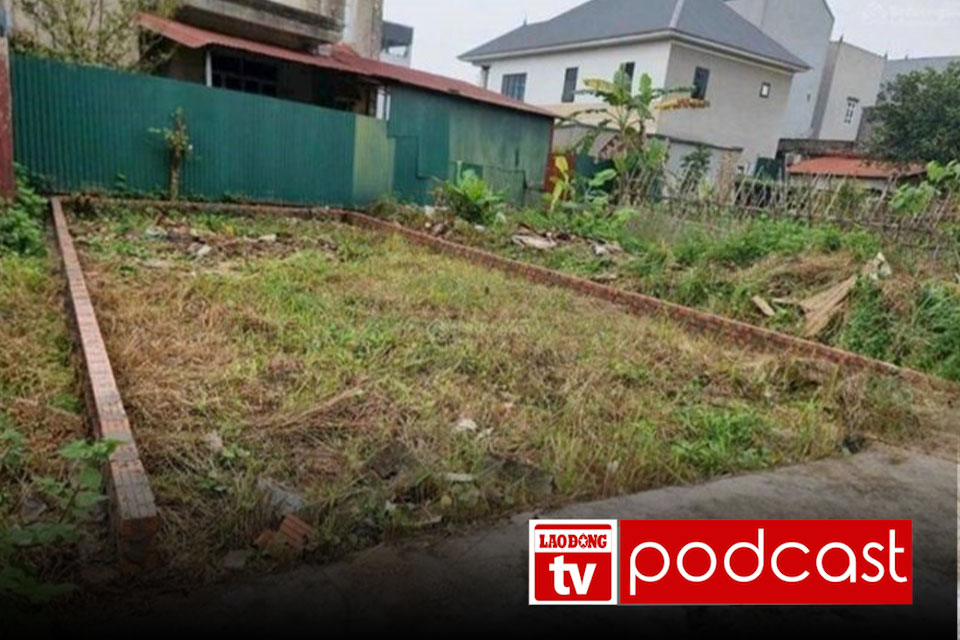 Morning news 3.6: The dream of buying land under 50 million VND/m2 in the suburbs of Hanoi is gradually falling away