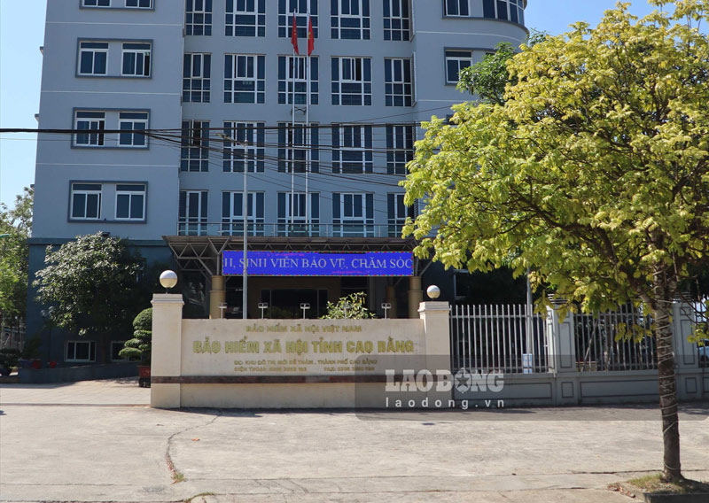 El seguro social CAO Bang tiene un nuevo nombre. Foto: Tan Van