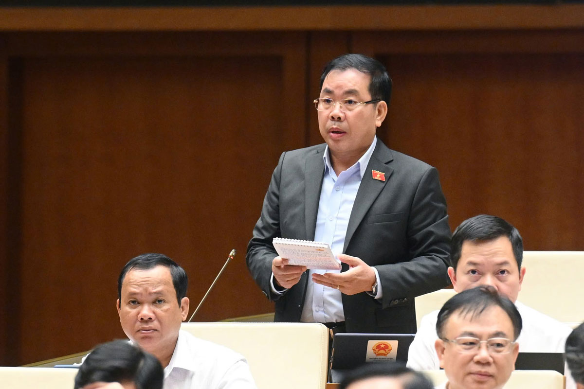 Dai bieu Nguyen Quang Huan - Doan DBQH tinh Binh Duong. Anh: Quochoi