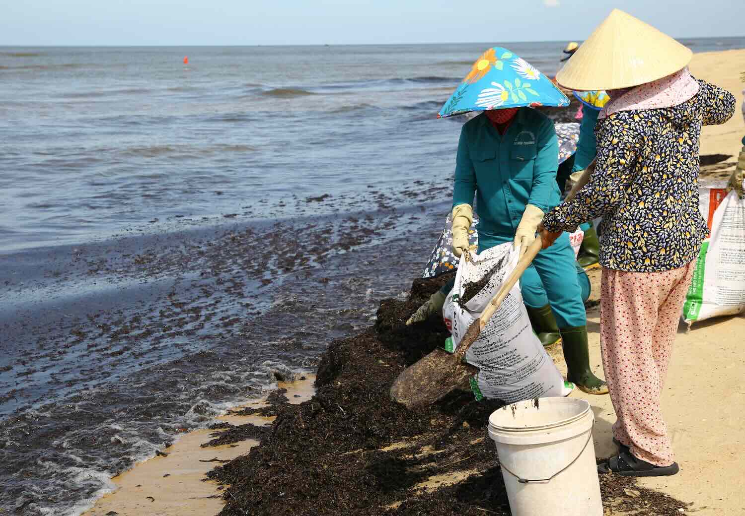 The authorities focused on collecting garbage at Nhat Le beach. Photo: Cong Sang