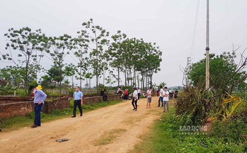 Land prices in the suburbs of Hanoi in many places exceed 200 million VND/m2
