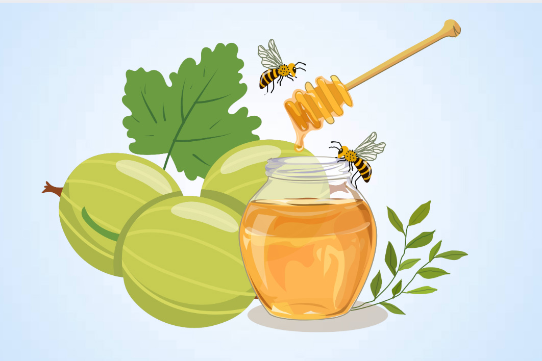 Health benefits of sugarcane soaked in honey. Graphics: Thien Nhan