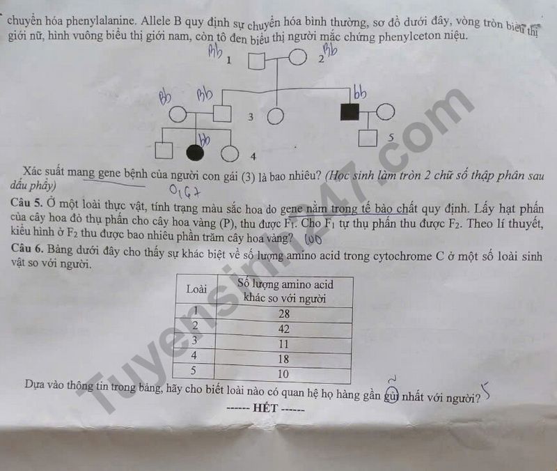 De thi thu tot nghiep THPT mon Sinh 2025 - So GDDT Bac Lieu (lan 2). Anh: Tuyensinh247  