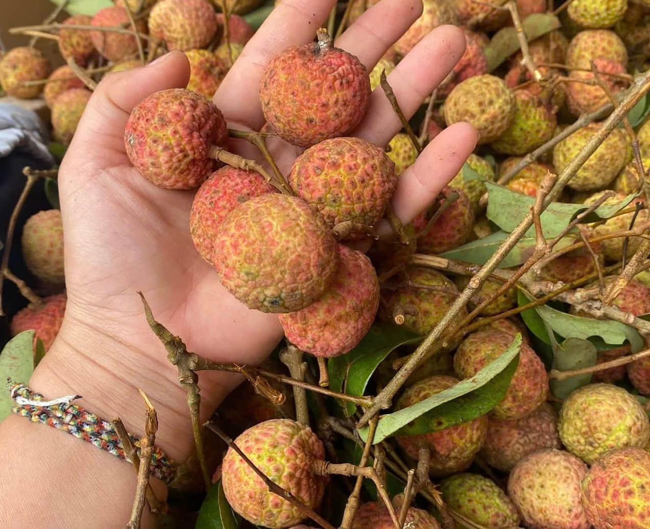 Rose tea is a drink that helps nourish the skin and nourish blood. Photo: Quang Minh