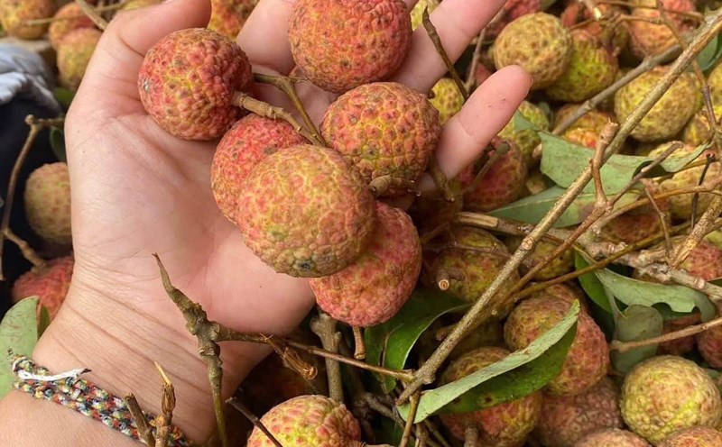 Rose tea is a drink that helps nourish the skin and nourish blood. Photo: Quang Minh