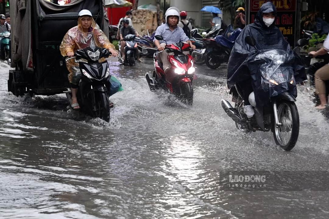 Forecast of areas where heavy rain will occur, notable warnings