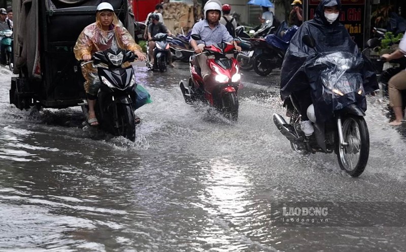 Forecast of areas where heavy rain will occur, notable warnings
