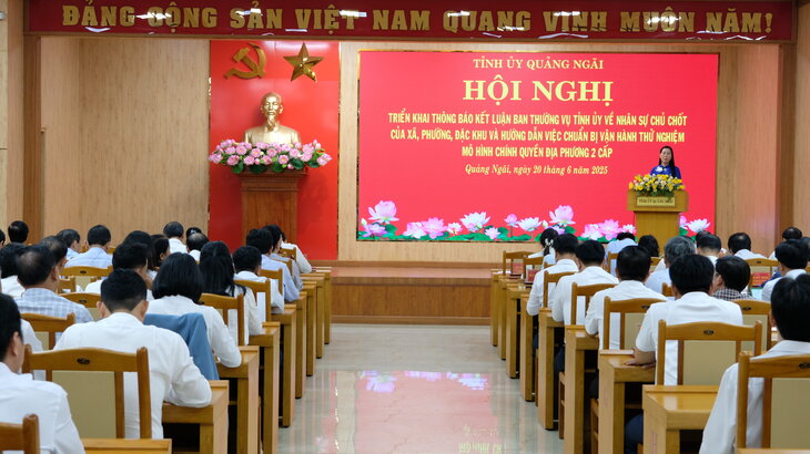 La escena de la conferencia anuncia la conclusion del Comite Permanente del Comite del Partido Provincial de Quang Ngai sobre personal clave 56 nuevas comunas y zonas especiales. Foto: Vien Nguyen