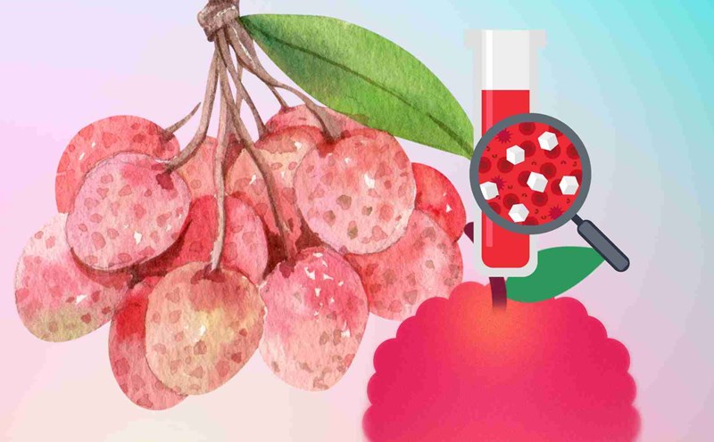 Tips for the ideal amount of seaweed per day for people with diabetes. Graphics: Dinh Dinh