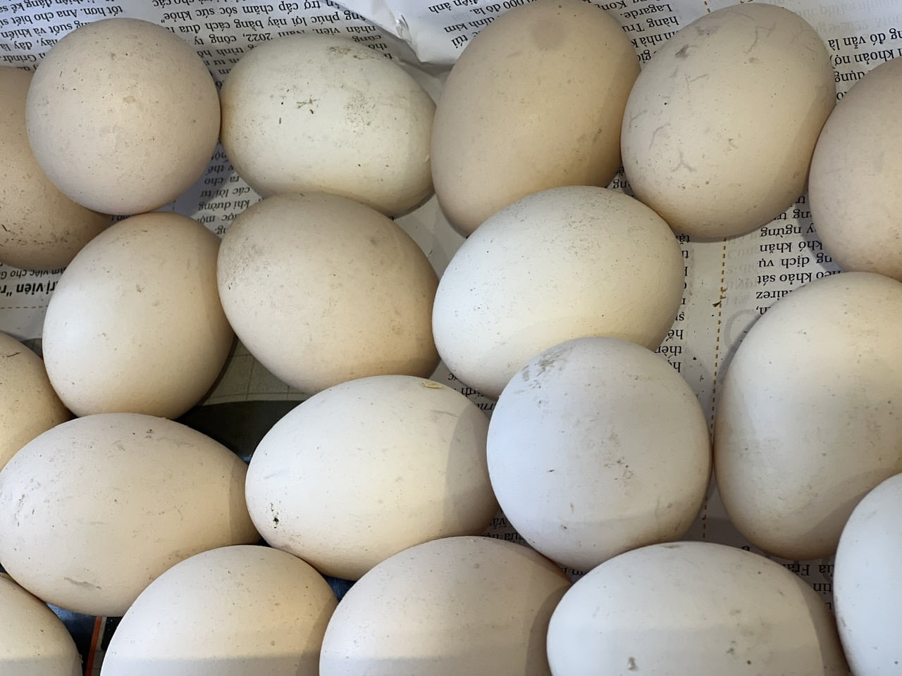 Eggs can help nourish the kidneys and repair kidney tissue damage. Photo: Quang Minh.