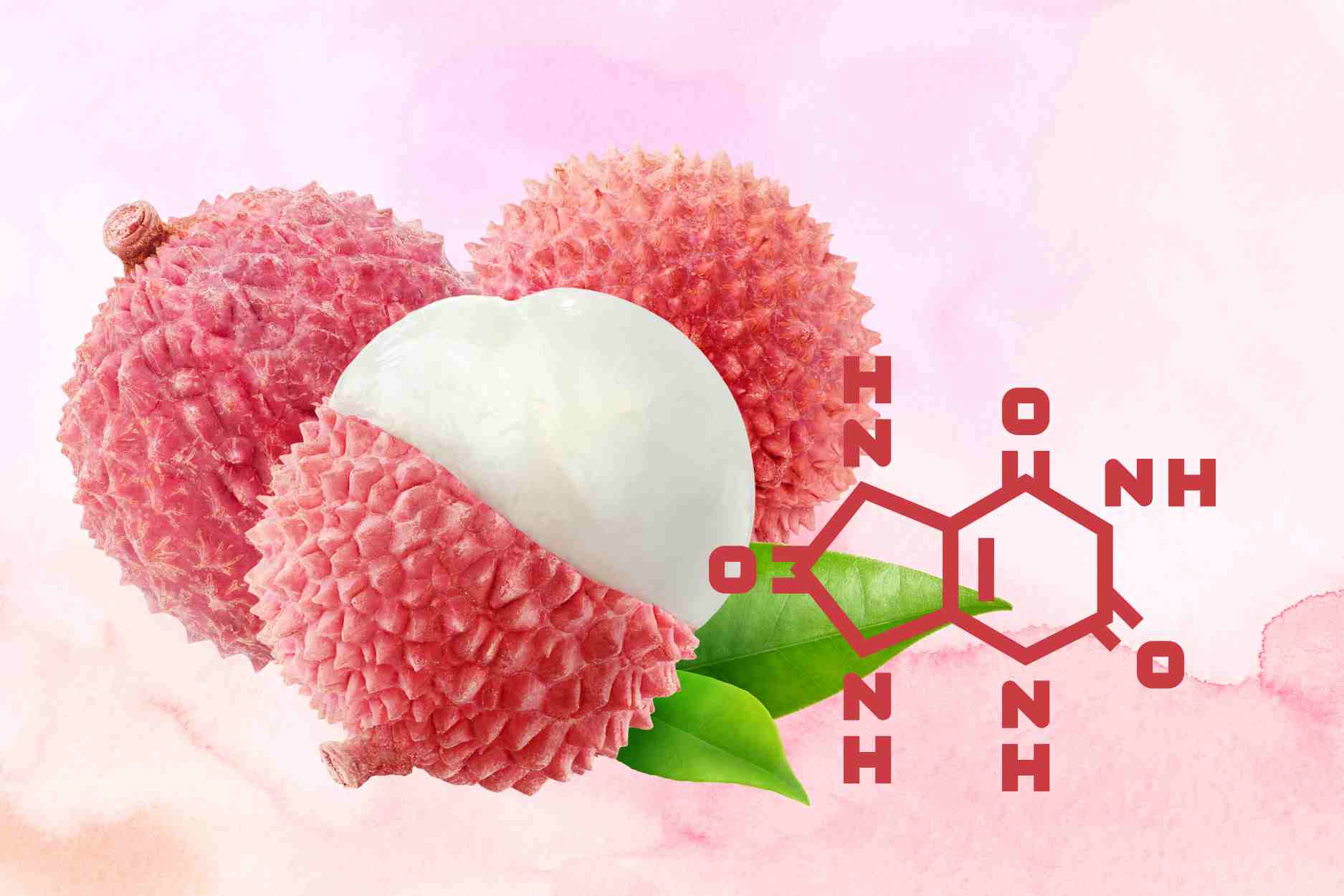 Unexpected benefits of seaweed for people with high uric acid. Graphics: Dinh Dinh