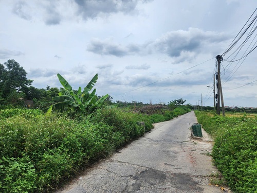 Đoạn đường chưa thi công 2 bên đường cỏ mọc ở giữa lồi lõm rất khó đi. Ảnh: Minh Hạnh 