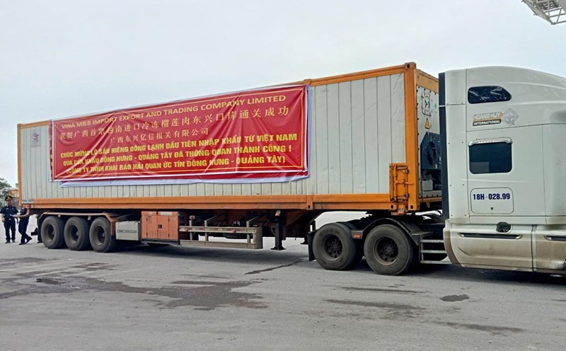 The first batch of frozen durian of Vina M & B Export and Trading Company Limited successfully exported to the Chinese market through Bac Luan II border gate. Photo: Doan Hung