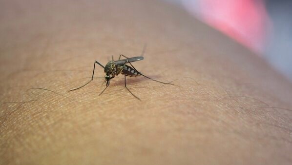 Hai Duong recommends raising people's awareness of preventing dengue fever during the rainy season. Photo: Thuy Duong
