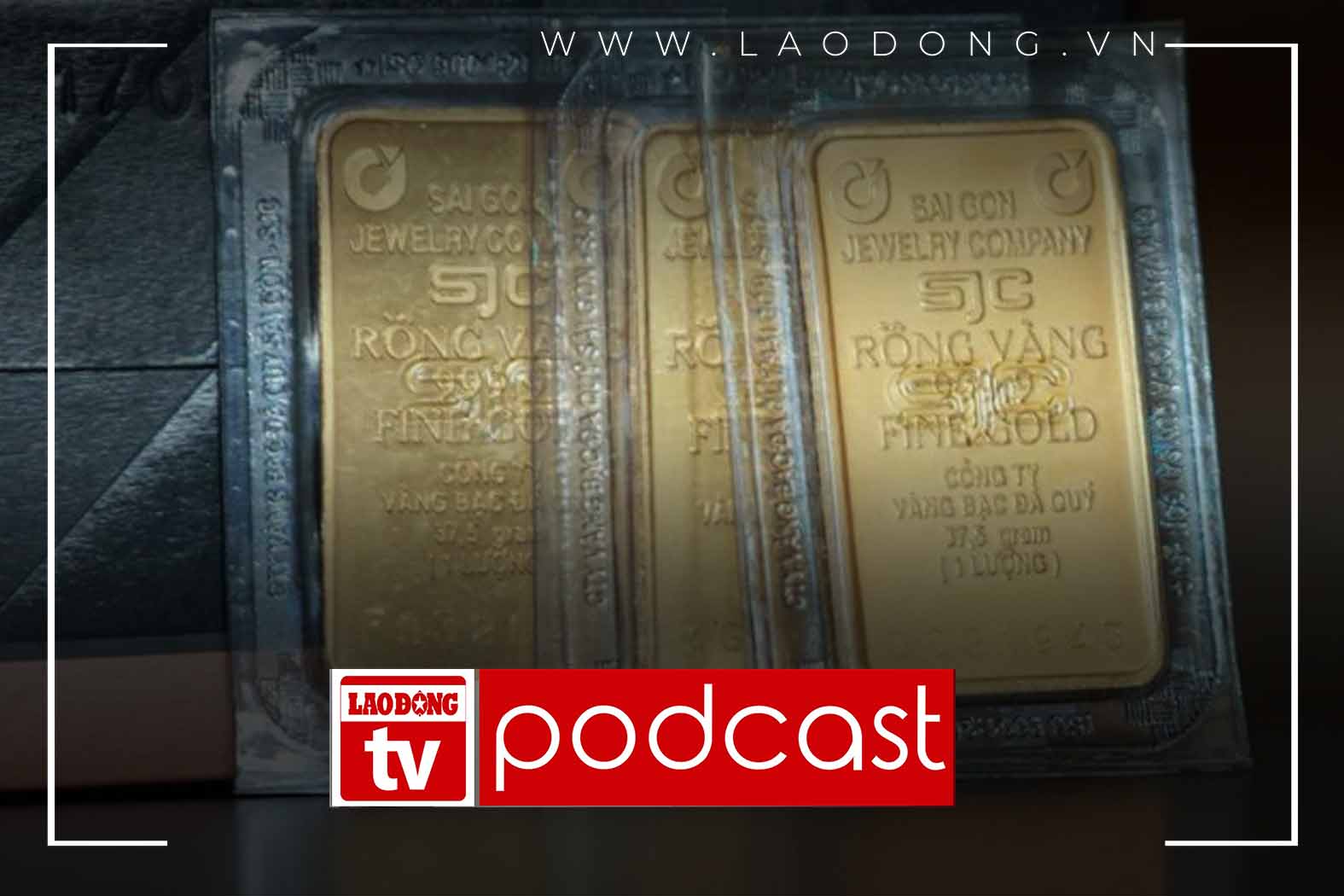 Noticias de la mañana: pronosticando el tiempo del precio del oro se desplomo