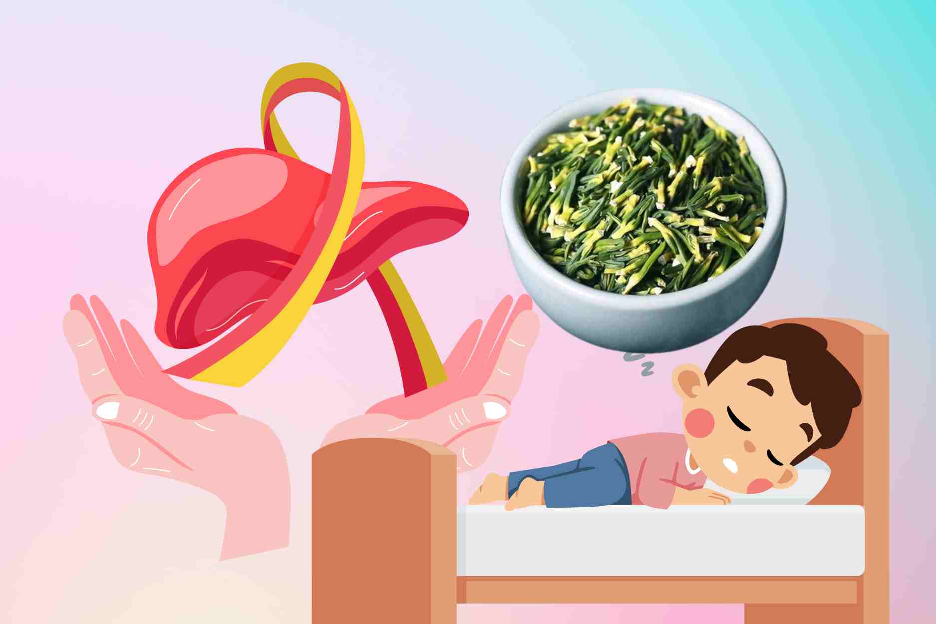 Herbal tea helps cool the liver, makes it natural to sleep easily