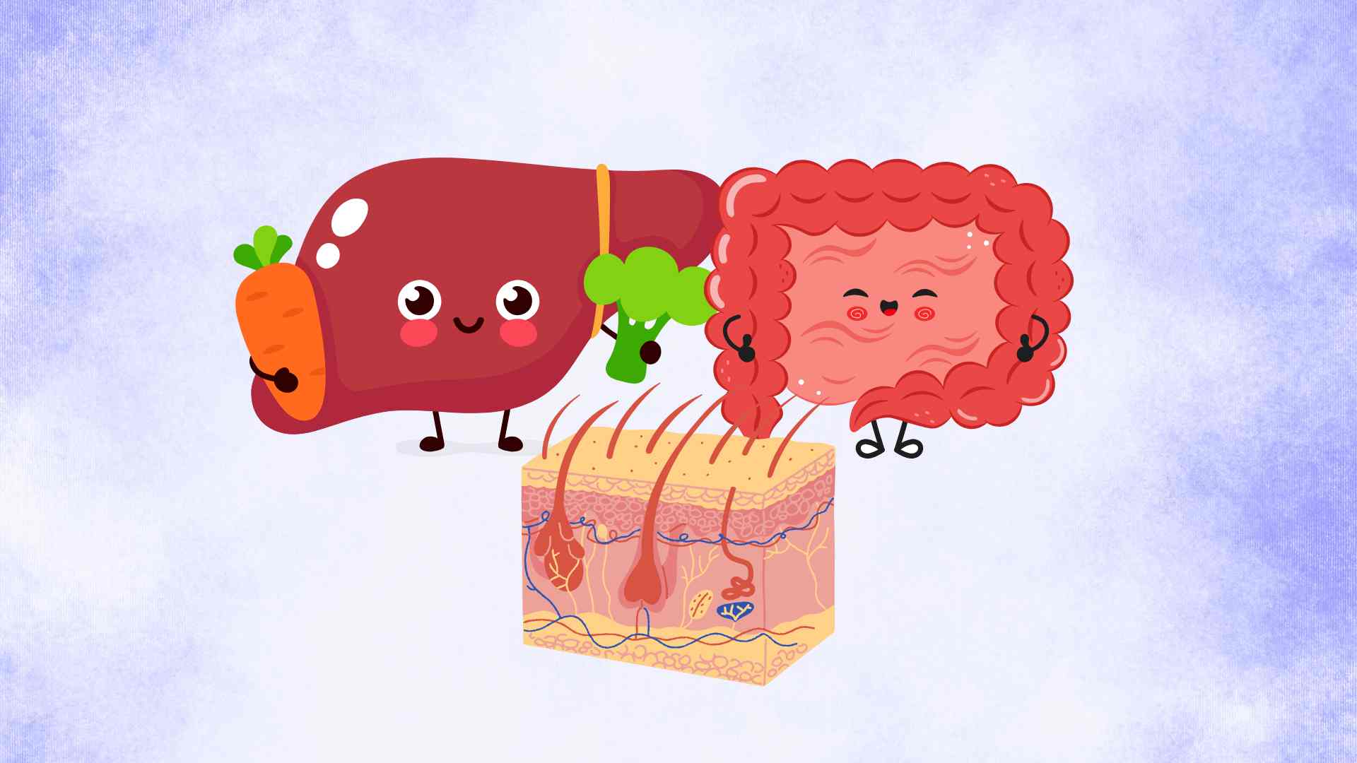 Properly cleaning 3 body parts will prolong life. Graphic photo: Hoang Loc