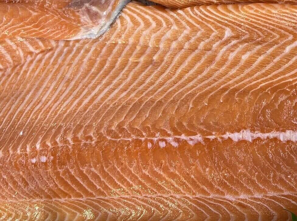 Salmon is one of the fatty fish that can help improve the blood filtration function of the kidneys. Photo: Kieu Vu