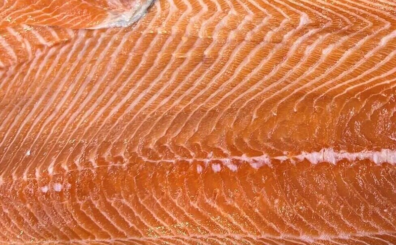 Salmon is one of the fatty fish that can help improve the blood filtration function of the kidneys. Photo: Kieu Vu