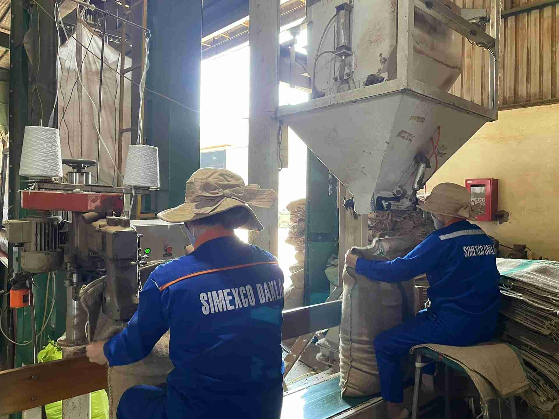 Simexco Daklak garantiza buenos beneficios para los trabajadores. Foto: Bao Trung