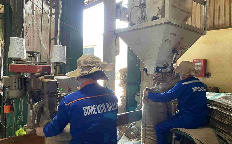Simexco Daklak is ensuring good rights for workers. Photo: Bao Trung