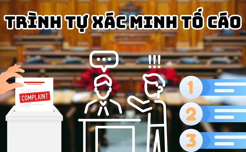 Procedures for verifying the content of the complaint in the trade union organization
