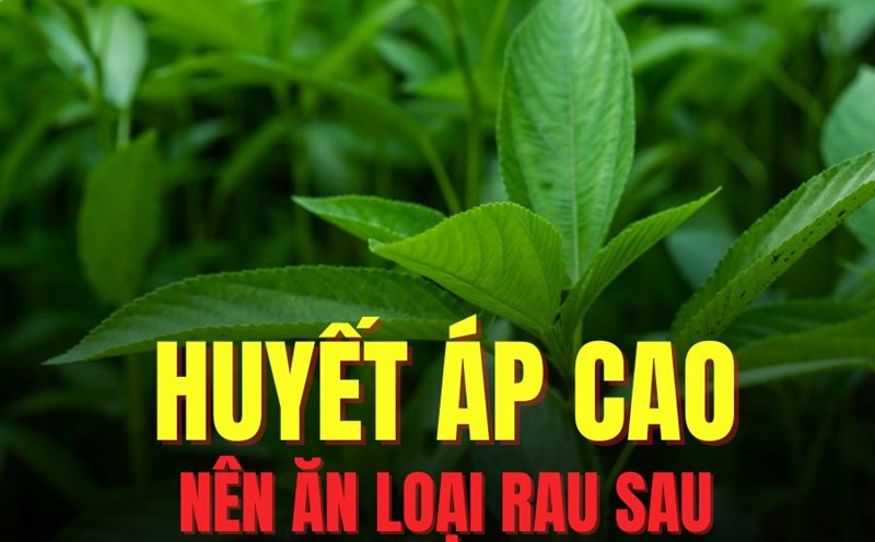 Lunar flute contains a lot of potassium and fiber, which is good for people with high blood pressure. Graphics: Tra My