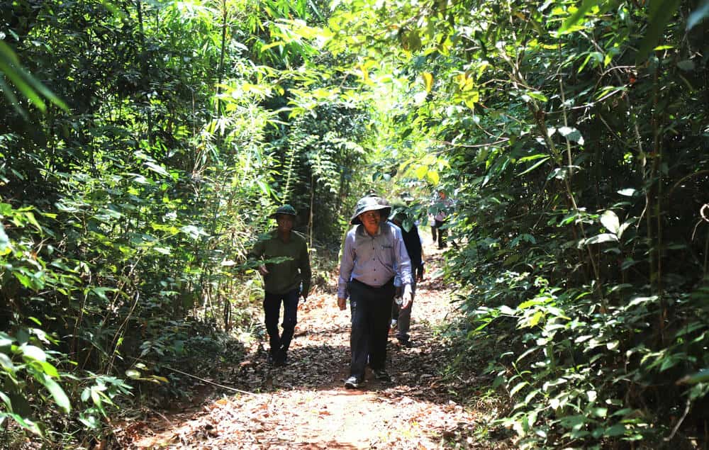 The working group went into the forest to inspect and survey the field for the expressway project. Photo: Lam Hong
