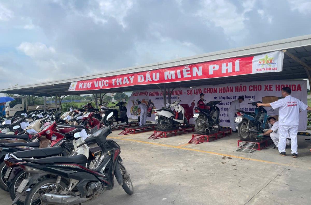 Thay dau mien