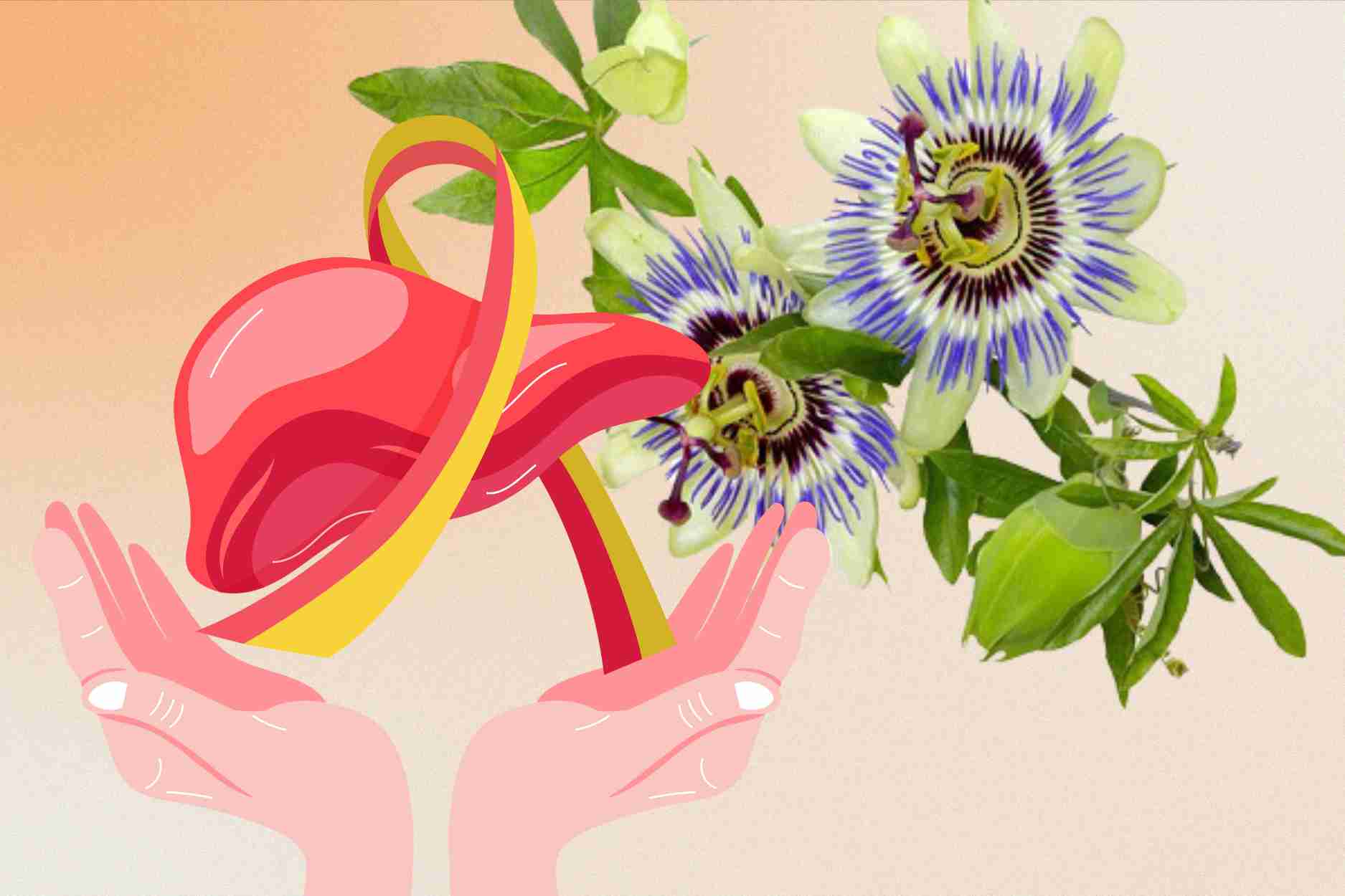 Natural medicines help sedate, cool and detoxify the liver safely