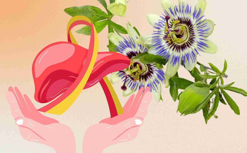 Natural medicines help sedate, cool and detoxify the liver safely