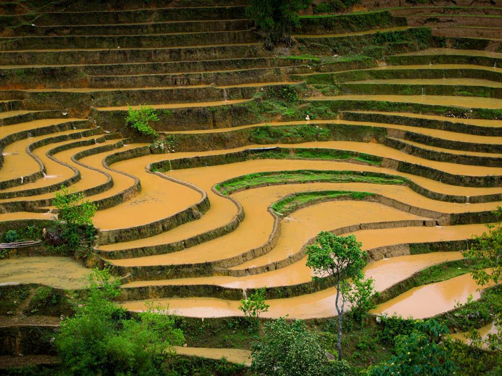 Người Mông tại Mù Cang Chải đã khéo léo chọn lựa những triền đồi, sườn núi với diện tích tương đối lớn, độ dốc vừa phải và vị trí đón nguồn nước tự nhiên (mưa, suối) thuận lợi để tạo nên những thửa ruộng bậc thang kỳ vĩ. 